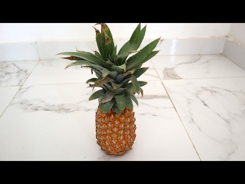 Pineapple cutting hacks without knife /🍍చాకు లేకున్నా చాలా ఈసీ గా కట్ చేస్కోవచ్చు