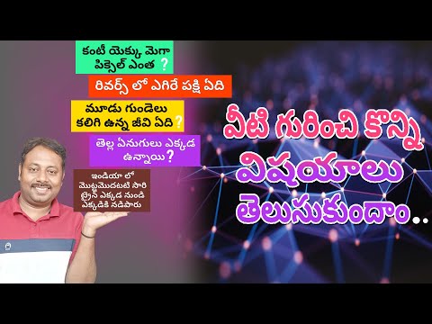 వీటి గురించి కొన్ని విషయాలు తెలుసుకుందాం || Let's know some things about these