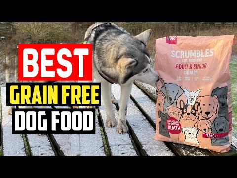 ✅Top 5 Best Grain Free Dog Food in 2024