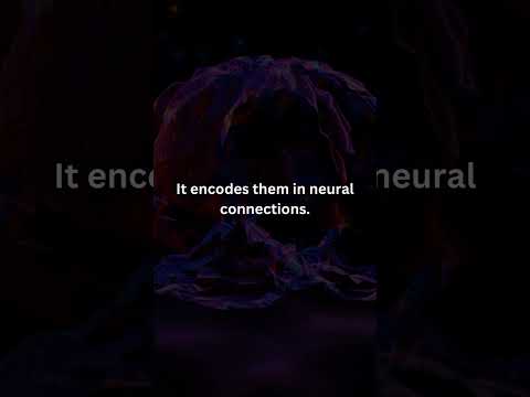 🎞️ Memory Magic: Decoding How the Brain Stores Moments! #BrainMemories #MemoryScienceShorts