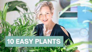 Easy Houseplants For Beginners Or Not - Top 10 Indoor Plants