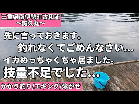 【かかり釣り】三重県南伊勢で筏釣りをした初心者の末路