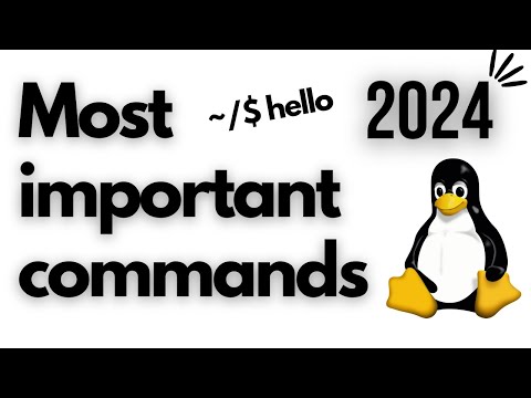 15 most important Linux commands that you need to know in 2024