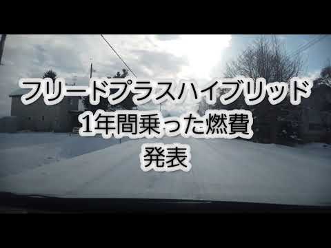 中古 フリードプラス ハイブリッドを買って 1年が経ちました。 一年の燃費と 乗った感想を 報告いたします。