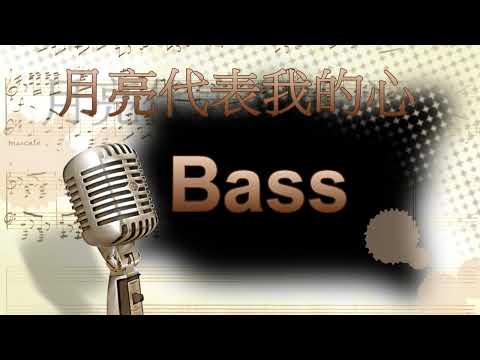 月亮代表我的心BASS