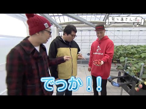 寄り道さんぽ【春江町　西春江ハートピア駅→ICHIGOOJI（いちご王子）】