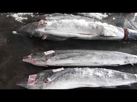 cutting Marlin fish cut swordfish Taiwan food