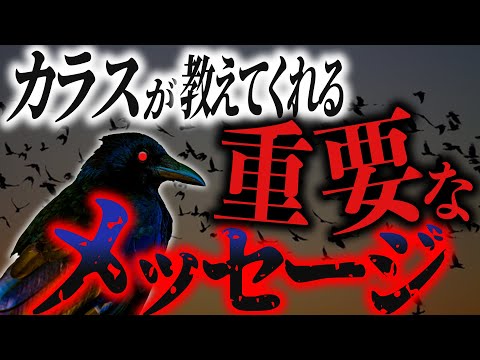 【スピリチュアル】カラスが教えてくれる重要なサインを見逃してはいけない！[ゆっくり解説]