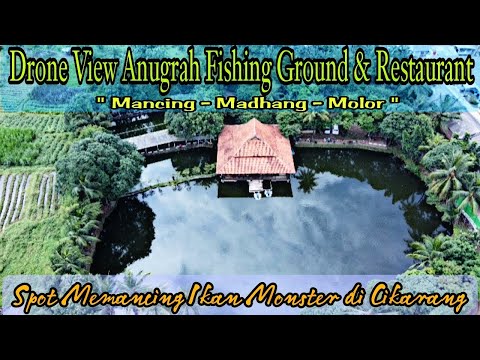 Drone View Pemancingan Anugrah Cikarang | Drone View Anugrah Fishing Ground & Restaurant Cikarang