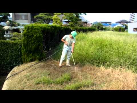 重曹除草／インターレジェンスによる除草・雑草防除作業