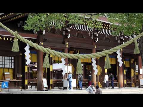 Nov 17,2024 Tokyo Japan (Meiji & Yogigo Park, Cat shrine) Richard