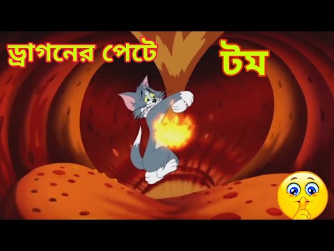 tom and jerry |ড্রাগনের পেটে টম  |bangla tom and jerry |Carton |tom and jerry funny video