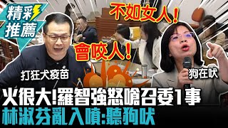 火很大！黃國昌提砍司法院出國預算 羅智強怒嗆召委1事 林淑芬亂入噴：聽狗吠【CNEWS】