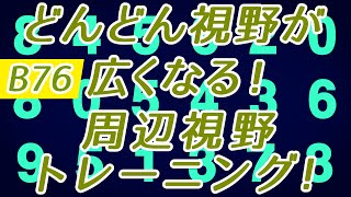 【Daily Eye Training】目指せアスリート！動体視力/周辺視野UP！vol.076