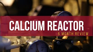 Calcium Reactor Review