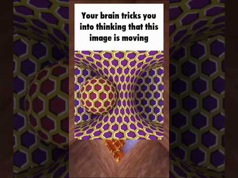 Optical illusions that will fry your brain #opticalillusion #funny