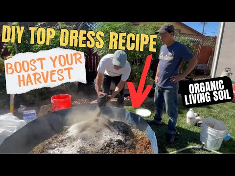 Epic Organic Cannabis Top Dressing Recipe to Boost Flower Harvest