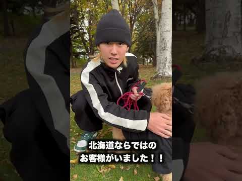 犬の散歩中に"超かわいいお客様"に遭遇しました