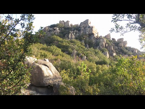 王子ケ岳新春初登山