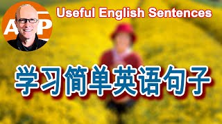 轻松掌握这些句子，享受提高英语技能的乐趣！(098)