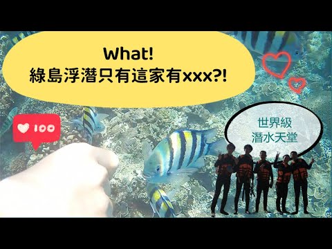 【綠島浮潛】沒想到只有這家有xxx...?!一分鐘帶你去世界級潛水天堂摸魚❤️