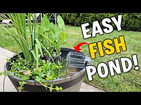 Easy NO-PLUG Fish Pond Tutorial For Back Patio / Deck