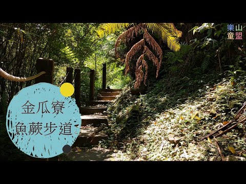 [新北坪林] 金瓜寮魚蕨步道 / Jingualiao Stream Fish And Fern Trail