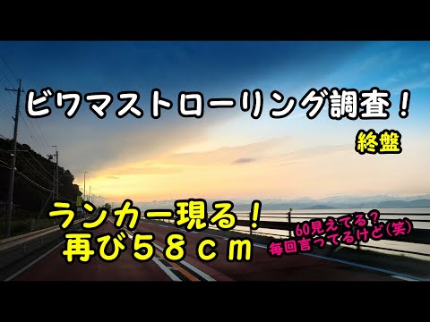 2023-06-16  ビワマストローリング調査！５８ｃｍ現る？