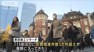 企業の倒産　11年ぶりに年間1万件超の可能性高まる　物価高や税金関連の倒産増加(2024年12月9日)