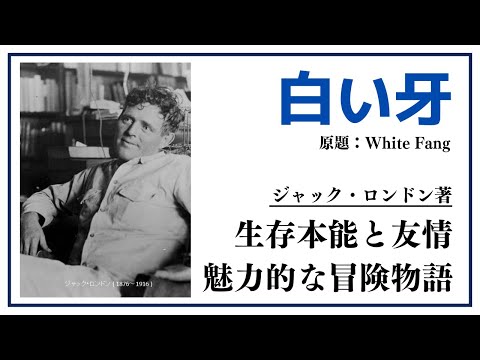 【洋書ベストセラー】著ジャック・ロンドン【ホワイトファング、白い牙】