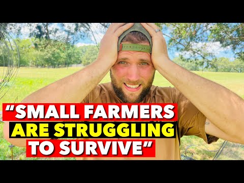 I’VE SPENT 3 YEARS MARKET FARMING & HERE ARE MY BRUTALLY HONEST THOUGHTS