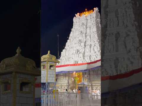 #tirupati #tirumala #lordbalaji #trending #viralshorts #bhimavaram #hyderabad #devotionalsongs #like