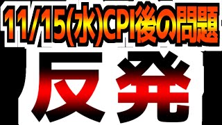 【11/15(水)米国市場解説】【反発】CPIの次の問題は？政府閉鎖リスク、失業率