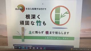 竹を枯らす 安全性の高い 除草剤 サンフーロン 使い方