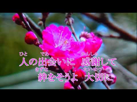 【新曲】夢花　 カラオケ