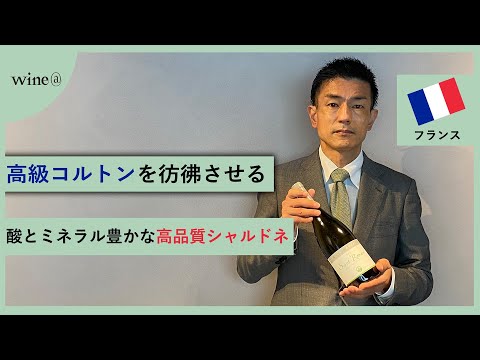 【高級コルトンを彷彿させる酸とミネラル豊かな高品質シャルドネ】アレックス・ガンバル / サン・ロマン ブラン（フランス）