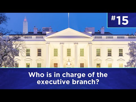 Q15: Who is in charge of the executive branch?