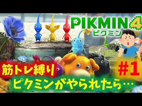 【ピクミン4】ピクミンを大事にする放送PART1【筋トレ縛り】