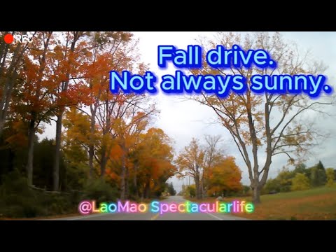 【街景】陰沉的秋日，卻也有不一樣的美麗。 Fall drive in Ontario, Canada. #fallcolor #dashcams #cloudy #加拿大枫叶 #秋天 #多伦多