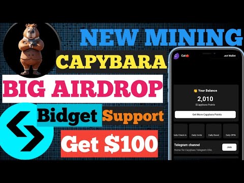 Capybara Airdrop | New Mining Project | capybara meme airdrop | Capybara meme New Update | Telegram