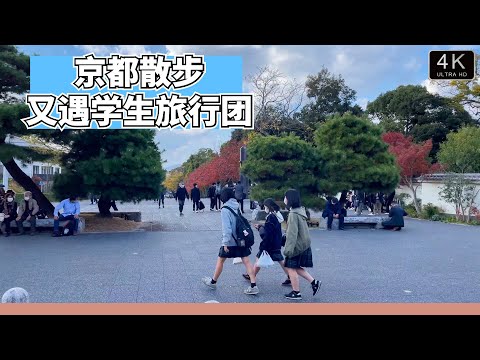 【日本散步】走进京都免费的庭院看一看，高大宏伟，气派。回来的路上看到了日本男子学校的旅行团，有点《热血高校》的感觉了