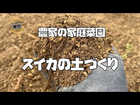 【すいか】の土づくり　驚くほど甘いスイカの育て方　まずは土づくりが大事！【農家の家庭菜園】【米糠】【もみ殻】【ぼかし肥料】