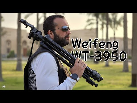 Weifeng wt-3950 | أرخص ترايبود يعتمد عليه