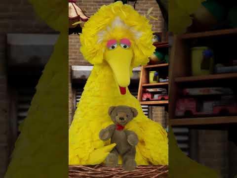 Belly Buddy Breathing with Big Bird #sesamestreet