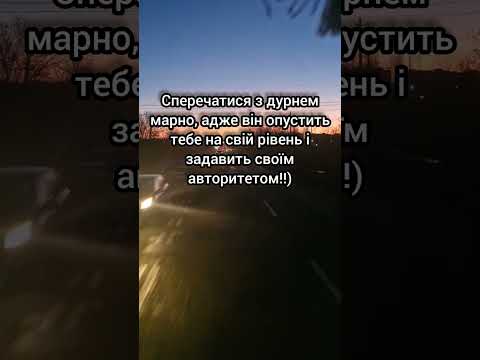 Що буде, коли сперечаєшся з дурнем?#позитив#позитивчик#топ#гуморпоукраїнськи