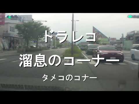 【ドラレコ　タメコのコナー】20190627　交差点内に停車してしまう下手くそ　右折禁止交差点を躊躇なく右折