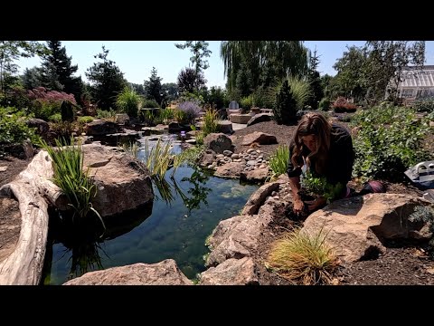 Planting By the Pond & Planting Beautiful Head Planters with Ferns! 💦🗿🌿 // Garden Answer