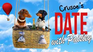 Ep 4: Crusoe the Dachshund's Date with Paisley! Cute/Funny Dog Date!