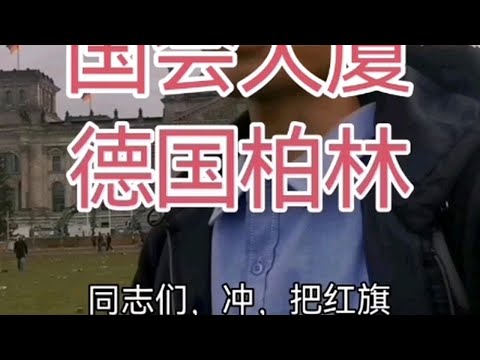 德国国会大厦，德国被反向殖民右翼造反问题