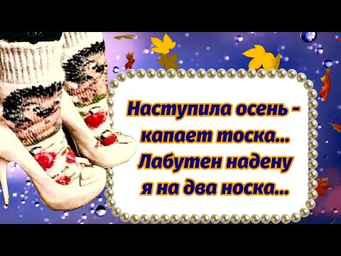 🍁Коротко О Погоде. Позитивчик Для Друзей. Шутки Осеннего Дня. Юмор, Позитив